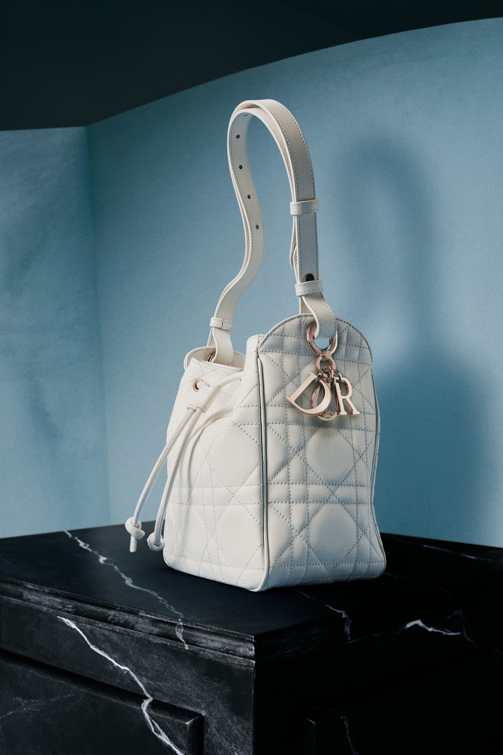 Dior D-Motion Bag: A New Icon of Movement and Modern Elegance